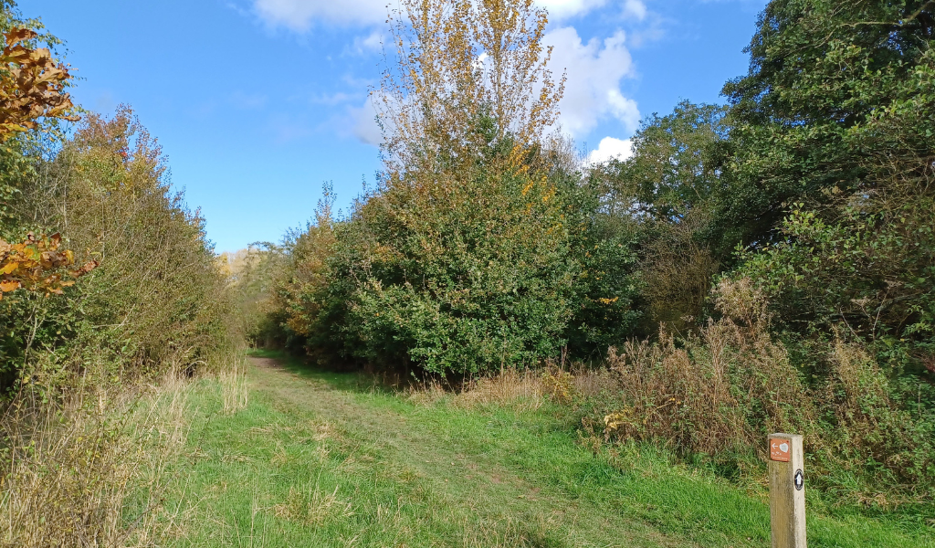 A view of the path running adjacent to the River Arrow