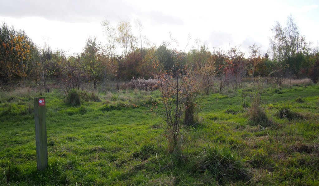 An open grassland area with mature trees in the background and a waymarker post pointing right in the bottom left corner.