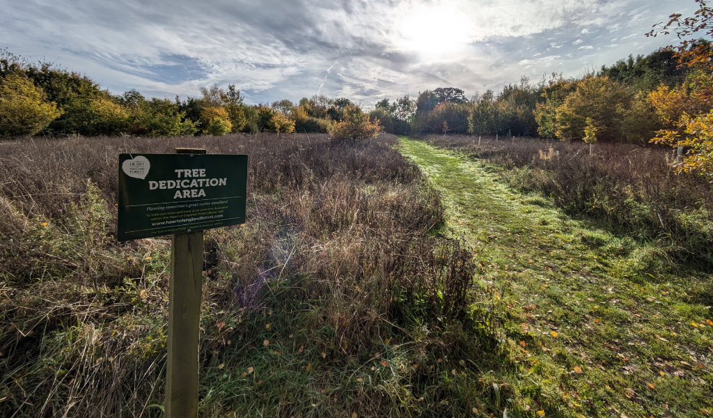 The 'tree dedication' area and sign in Dorothy's Wood