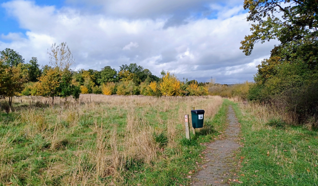 A view up the path with Morgrove Coppice on the left and Spernal Park to the right