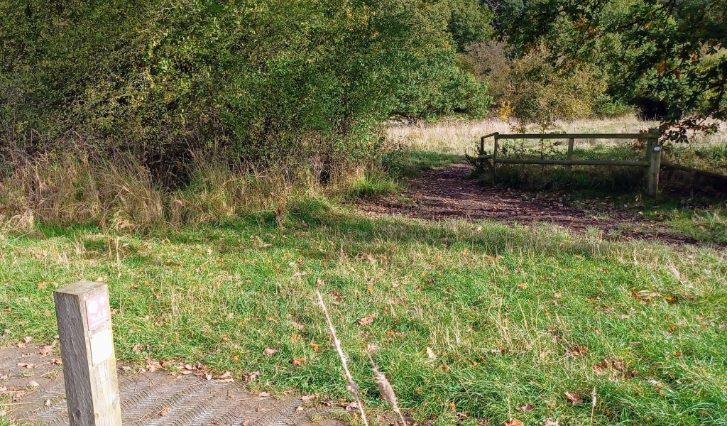 A bridge with view over to the mature trees in Spernal Park