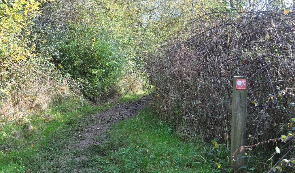 The pathway along a hedgerow at Coxmere Wood with a waymarker post in the right hand corner