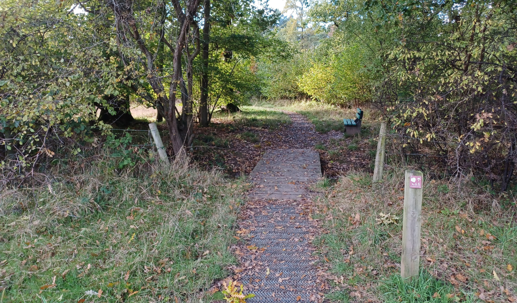 A wooden bridge into Morgrove Coppice