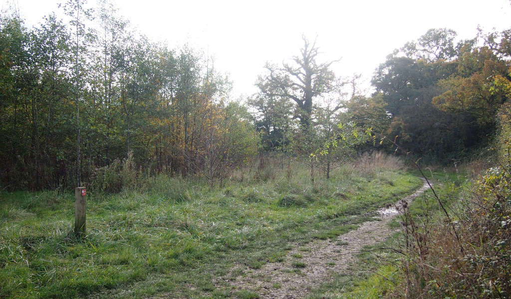 The path following down towards the River Arrow