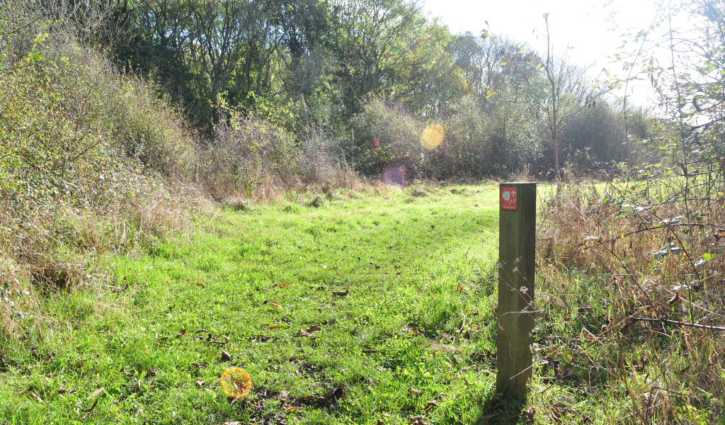 The path opening up to a ride around to the right at Coxmere Wood