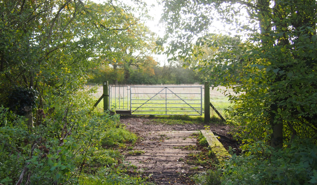 A bridge in the foreground leading to a gate, which leads in to an open field. The track is sandwiched by hedges.