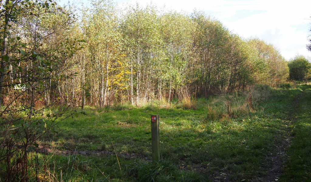 There's a waymarker in the forefront directing the public to take a left turn. There are trees in the background.