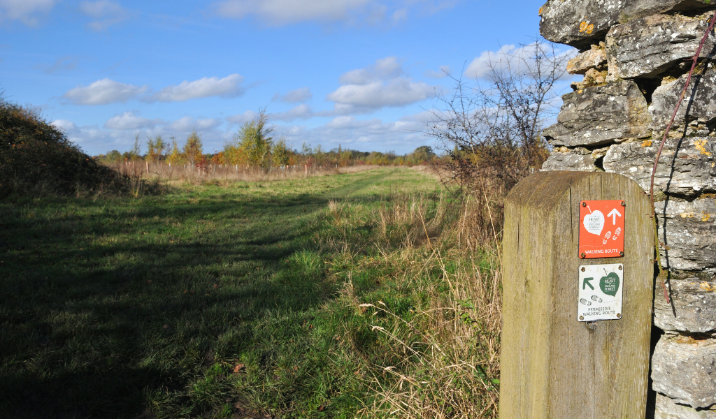 A close up of a waymarker post next to a stone wall on the right hand side with open forest up ahead