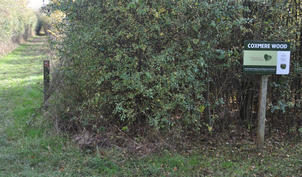 A waymarker post and Coxmere Wood sign at a fork in the woodland path