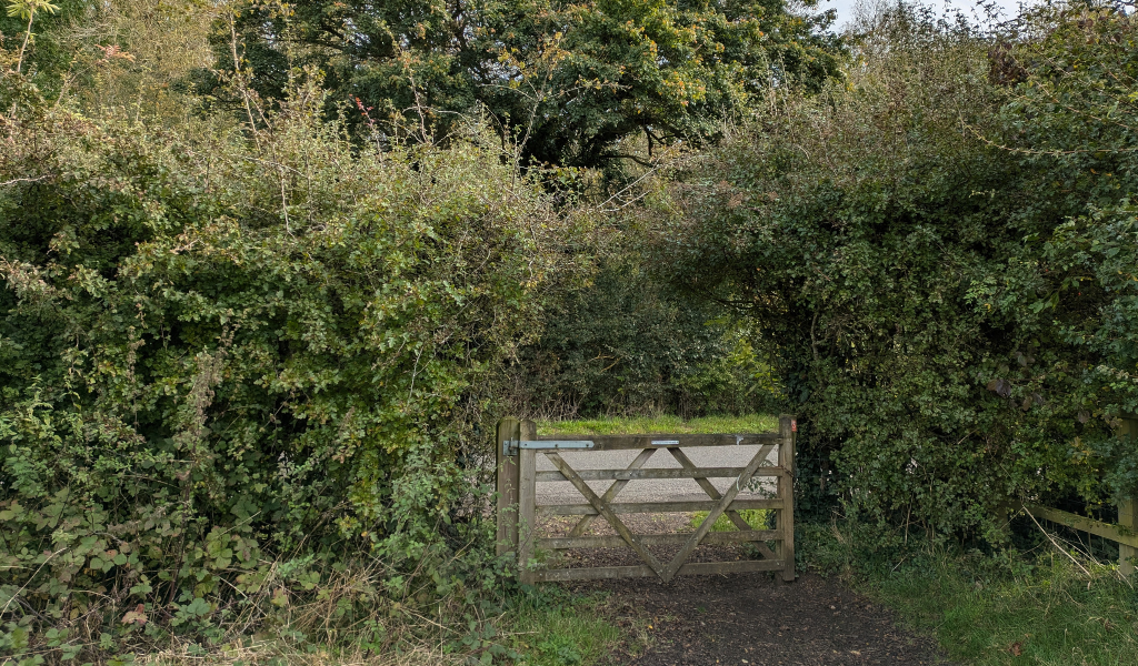 The gate at the bottom of the 'tree dedication' field leading to the road