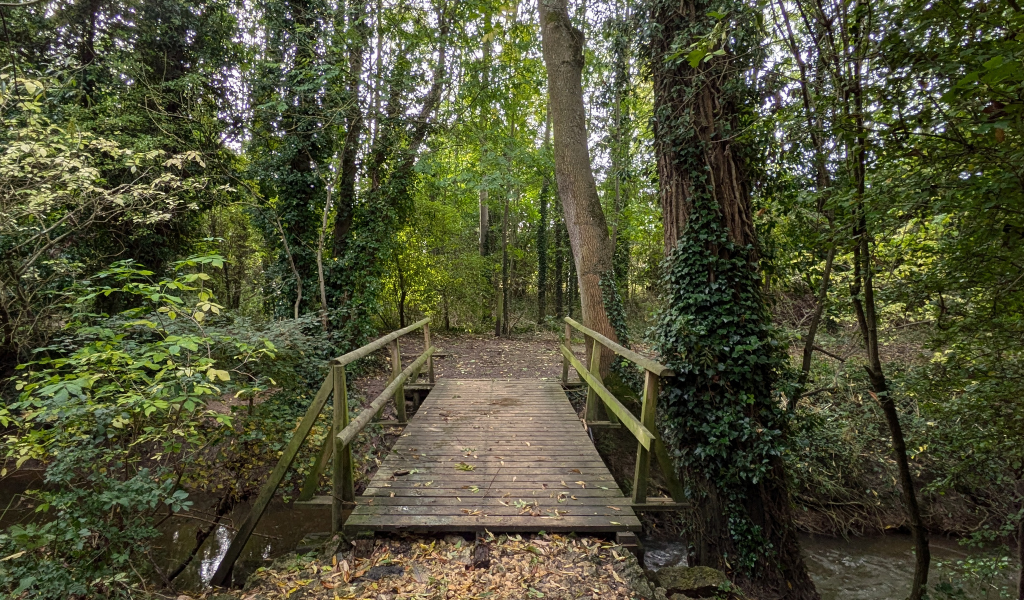 A wooden bridge with handrails across Noleham brook into Roman Fields Wood