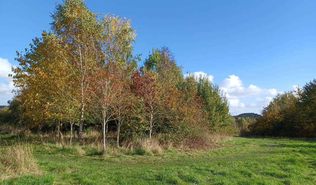 A view looking downhill across to Windmill Hill in the distance