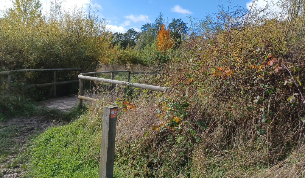 A wooden bridge leading through a hedgerow over a stream