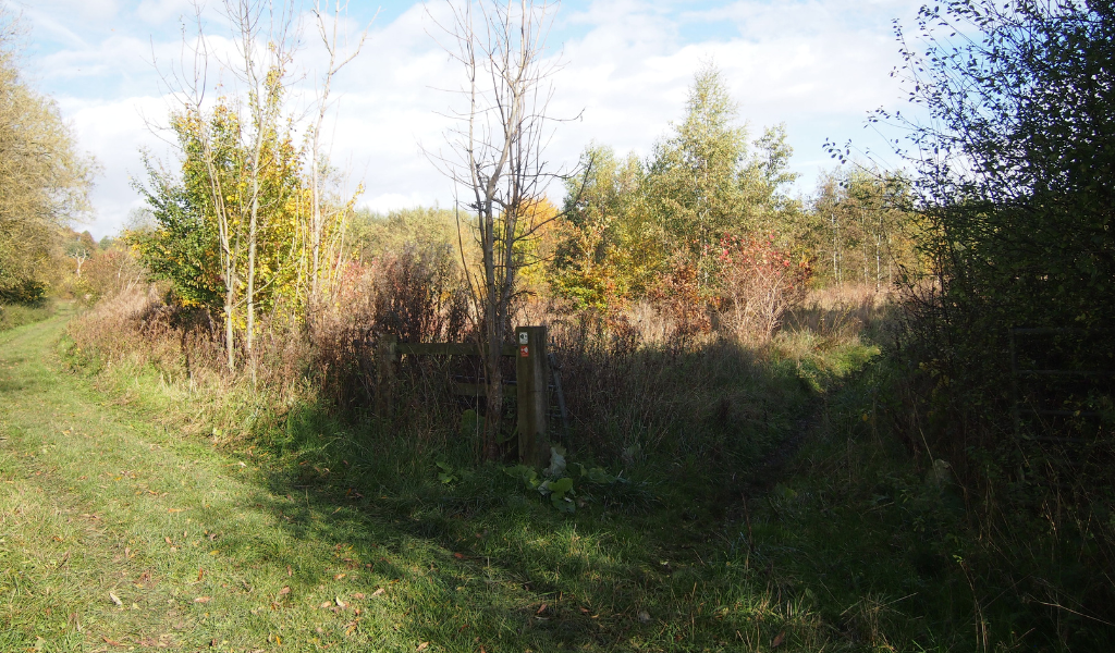 A fork in the path, the left side running alongside Studley Thorns and the right side heading towards the large pond.