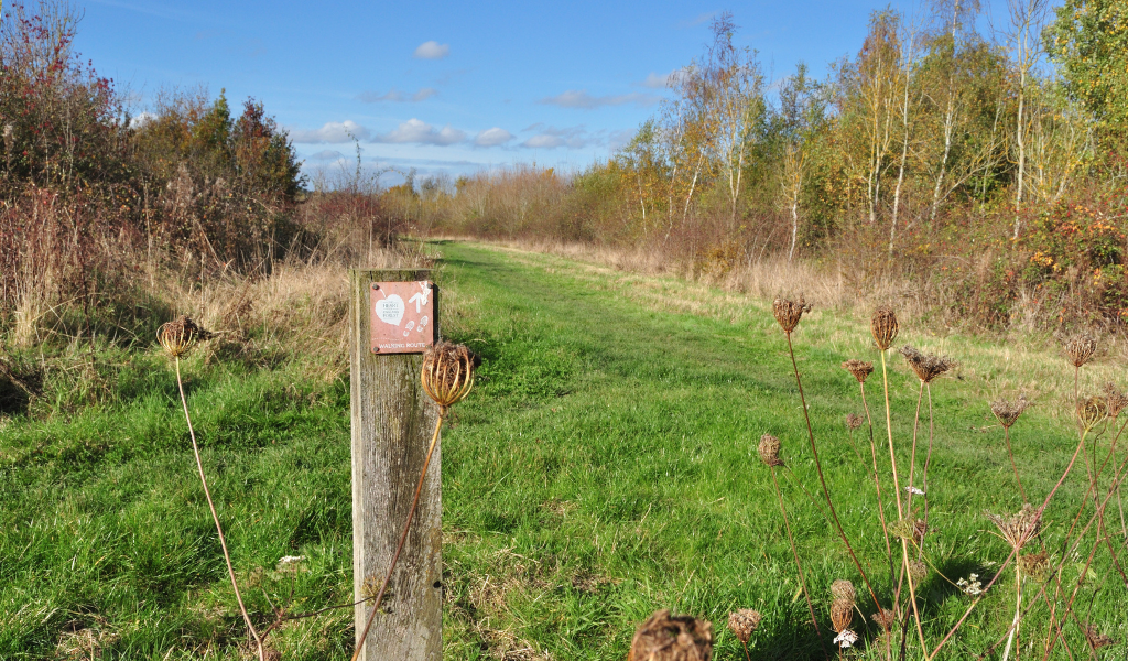 A waymarker post in the foreground directing the path into a more open green space up ahead