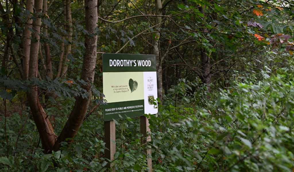 A large rectangular sign that says 'Dorothy's Wood', surrounded by new spring vegetation