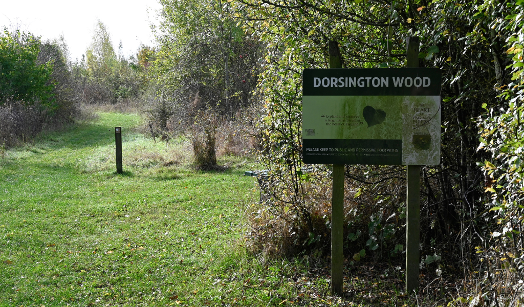 A view of a large rectangular sign saying 'Dorsington Wood' on the right with an open pathway through the woodland