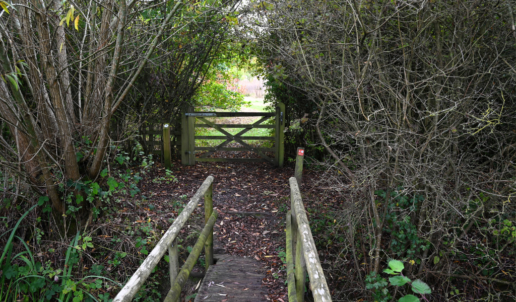 A view of a wooden bridge across Noleham Brook