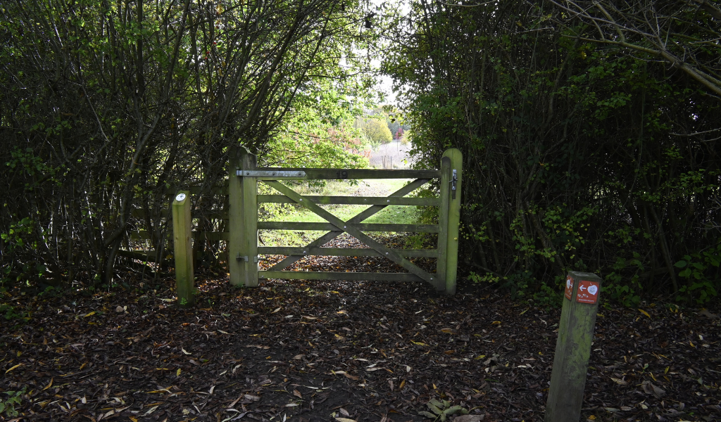 A view from a wooden bridge looking towards a gate in to the Arboretum