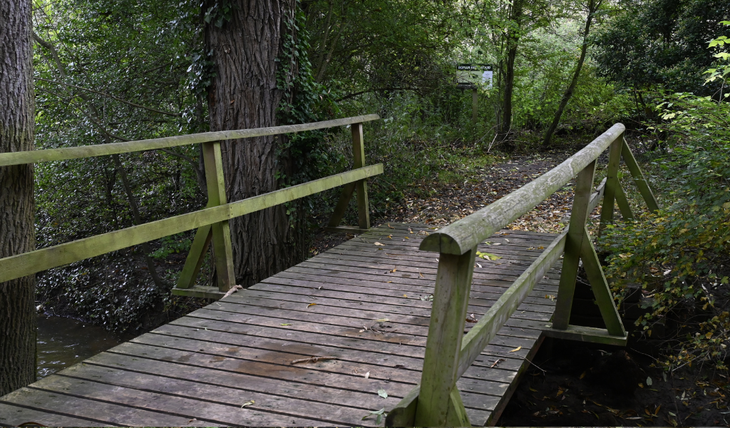 A wooden bridge crossing Noleham Brook