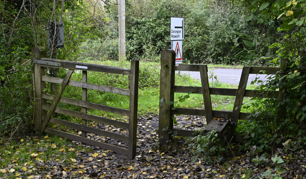 A wooden gate leading to a road, and another area of woodland across from it