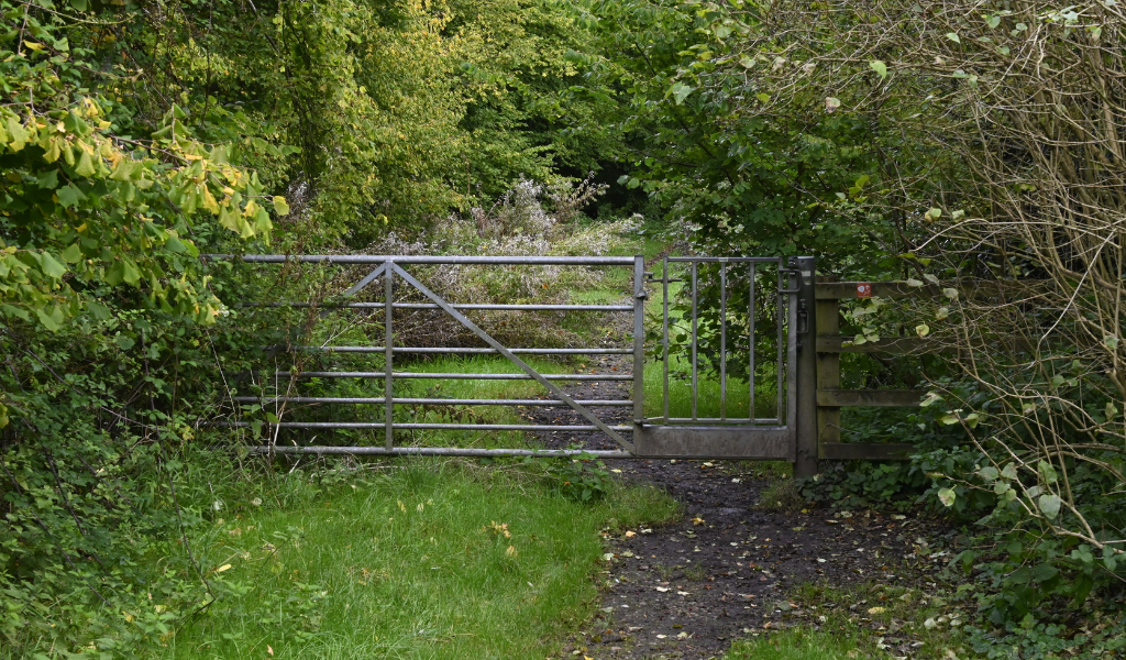 A view of the metal gate near the River Avon along the Founder's Walk