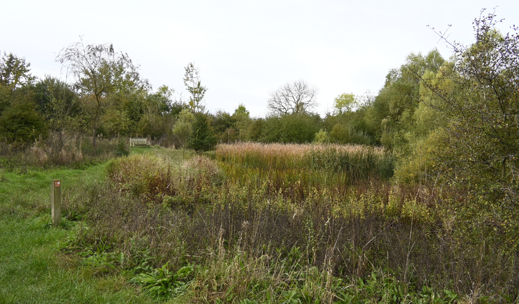 A view of Collett's pond on an autumn day