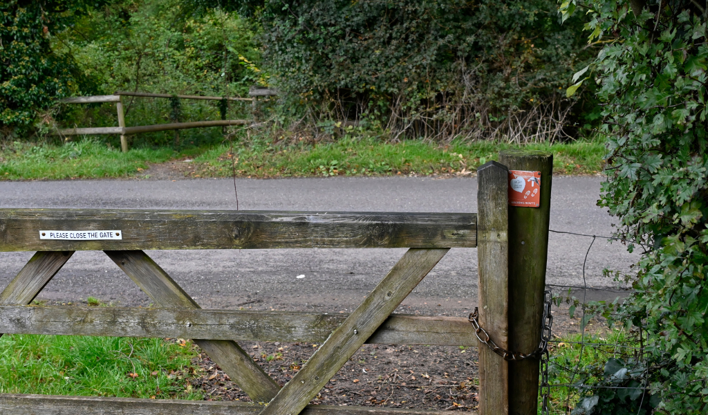 A close up of the top of a gate leading on to a road