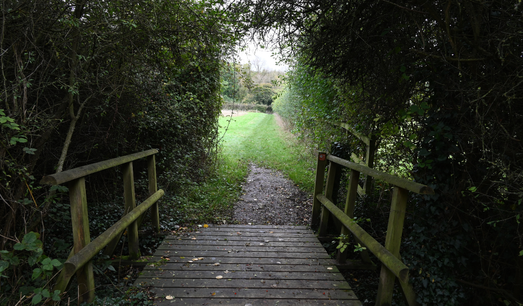 A wooden bridge in the foreground leading to an open area of new woodland next to Dorothy's Wood