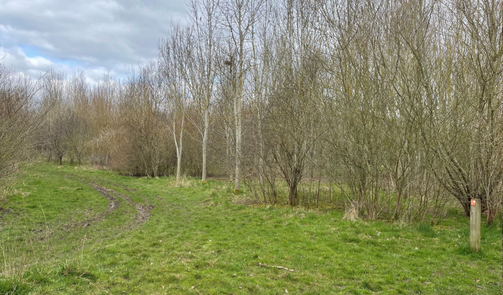 The beginning of the walk near Giddings Wood car park