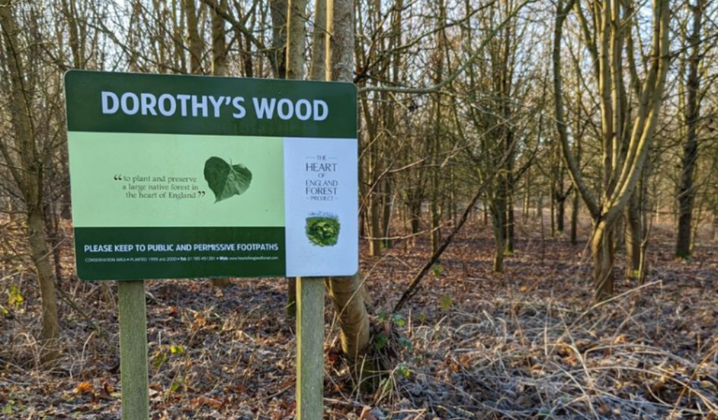 A large rectangular sign that says 'Dorothy's Wood' to the left of a wintery woodland