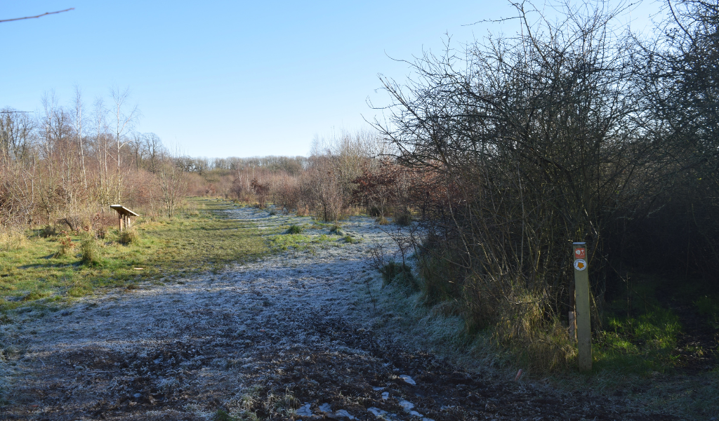 A frosty footpath running alongside a mature hedgerow and a waymarker post pointing left at the bottom right hand corner