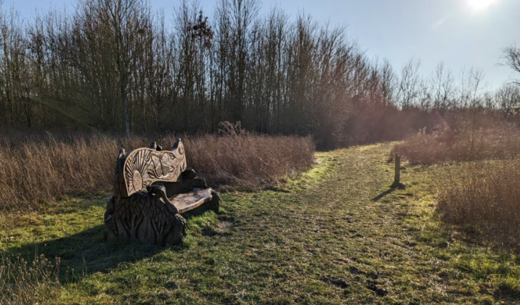 A view of the bench opposite Colletts pond