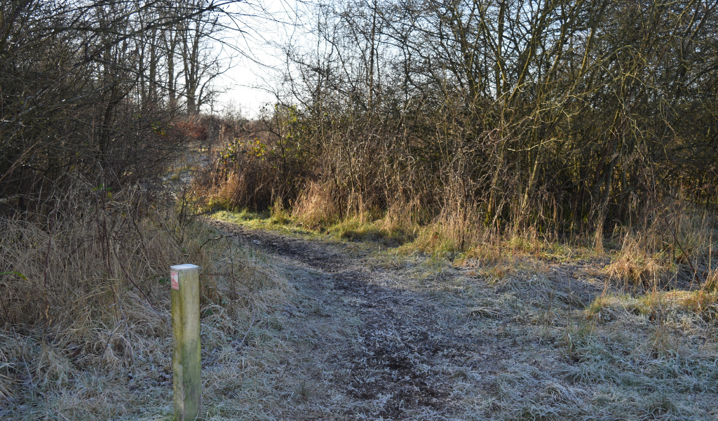 A line of hedgerows guiding the footpath and a waymarker to the left, directing the continuation of the path to the left