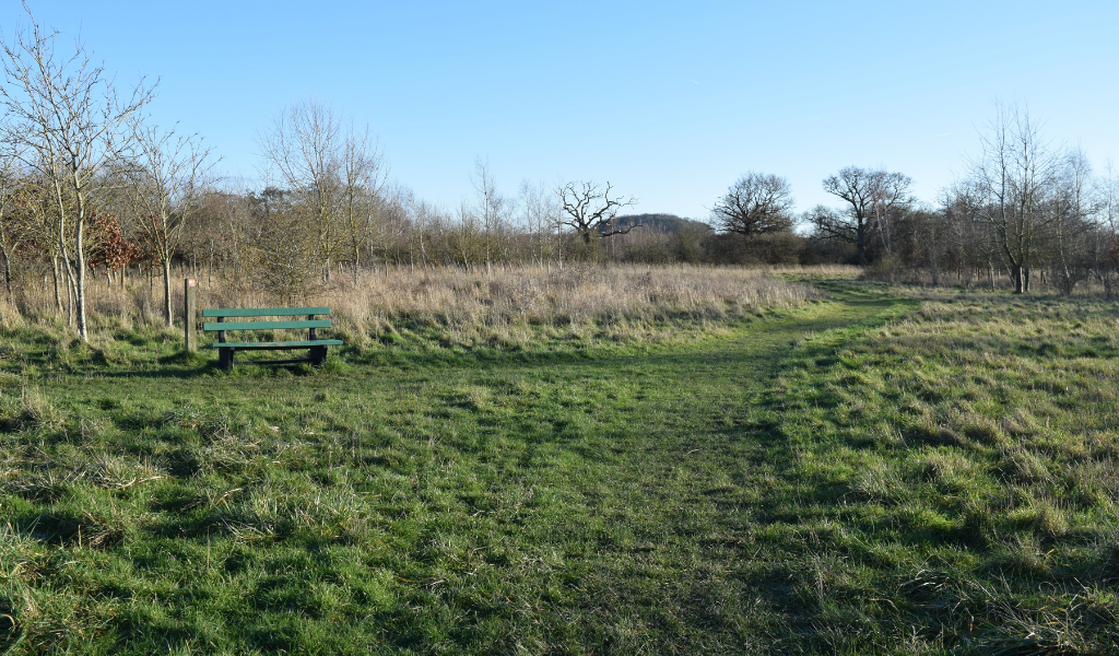 A area at Haydon Way Wood where forest rides meet and a bench in the distance