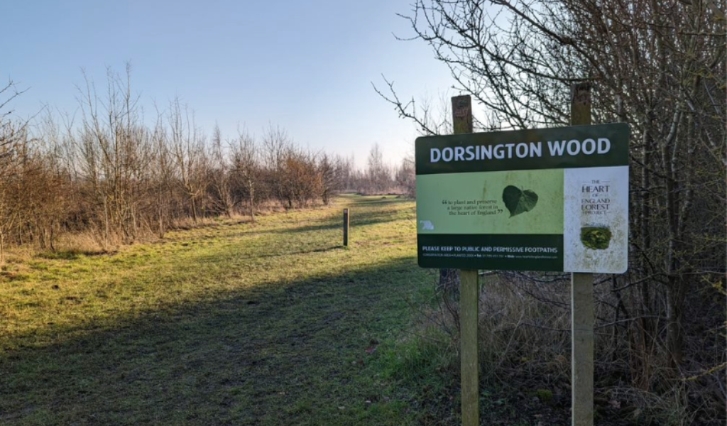 A view of a large rectangular sign saying 'Dorsington Wood' on the right with an open pathway to the left through the woodland