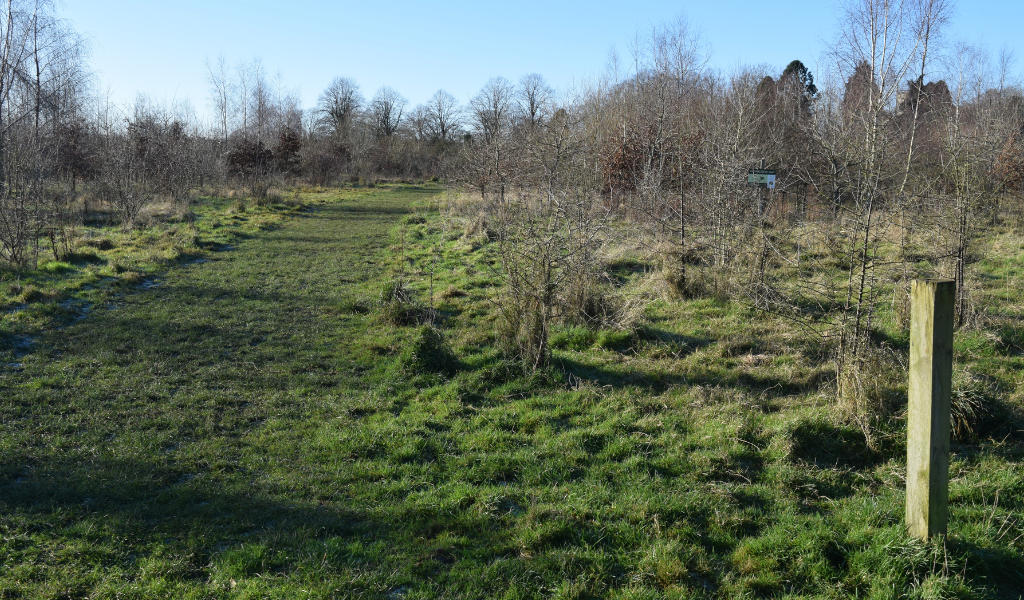 An open grassland and young tree plantation with mature trees in the background and a waymarker post pointing right in the bottom left corner