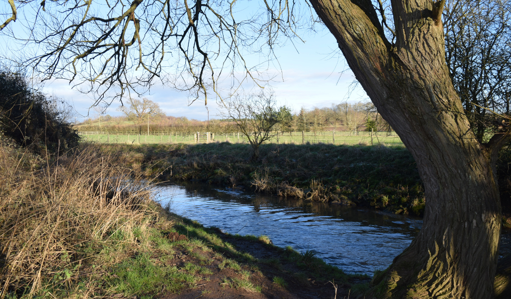 A view of the River Arrow at Haydon Way Wood