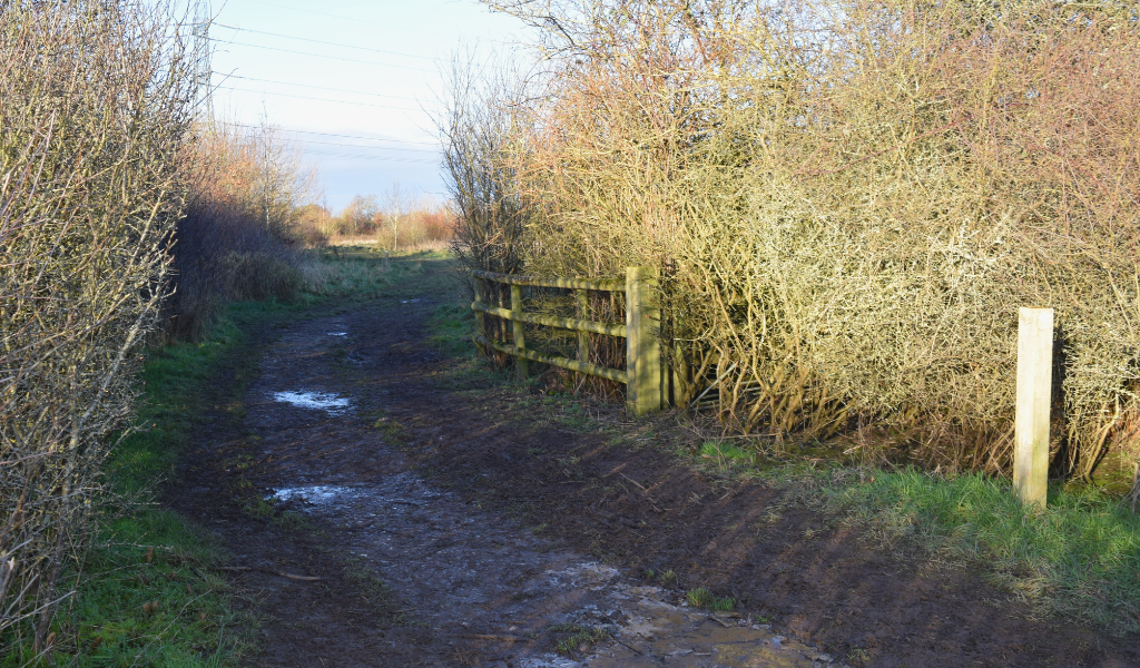 The footpath continuing away from the river and back towards the car park through hedgerows