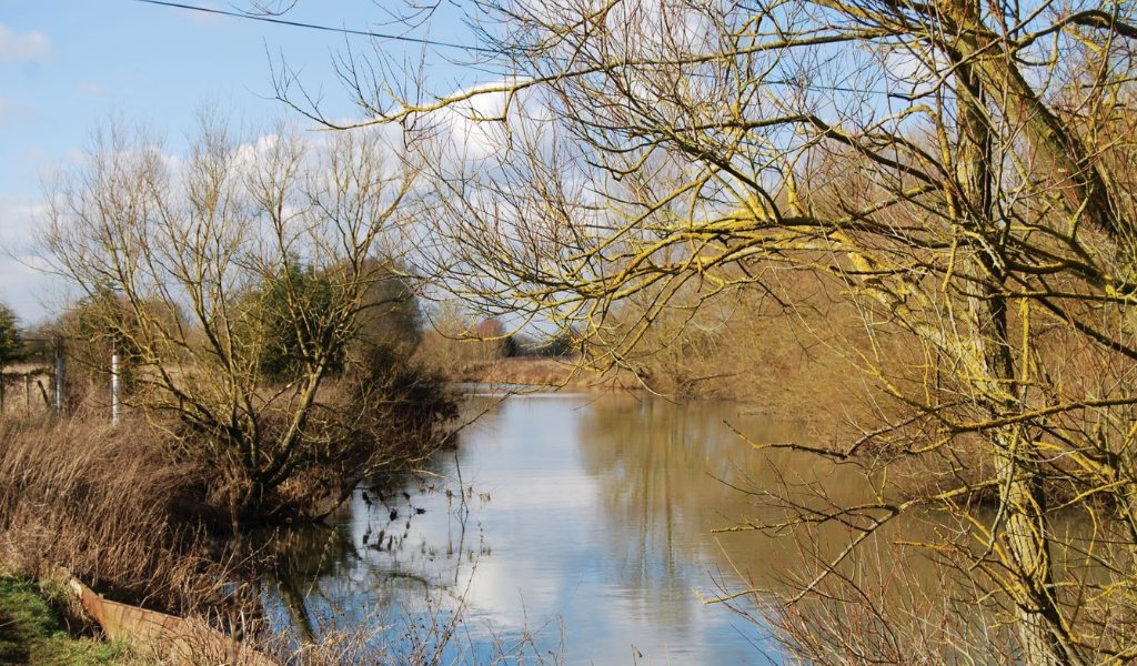 A view of the River Avon along the Founder's Walk