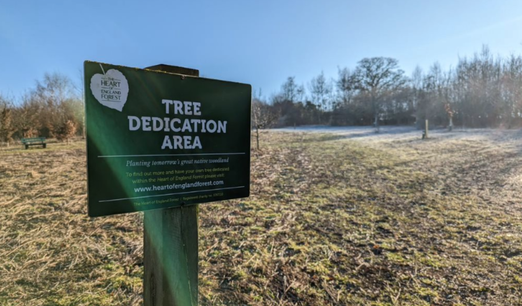 A large rectangular sign that says 'Tree Dedication Area' with a woodland ride to the right