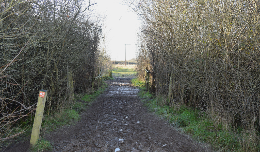 The waymarked footpath leading through a hedgerow and across a small wooden bridge