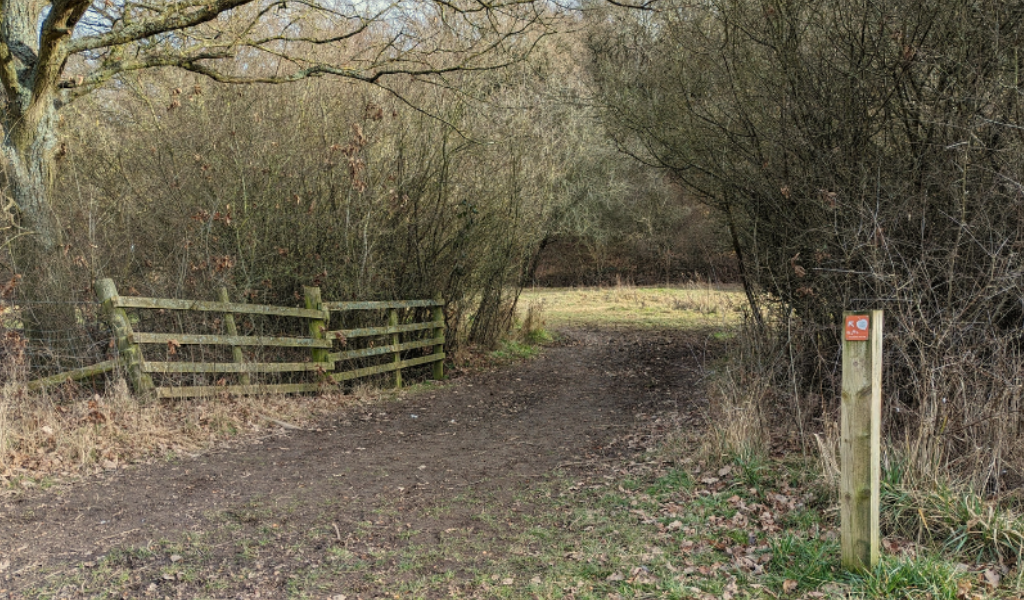 A footpath leading through mature trees into Spernal Park woodland