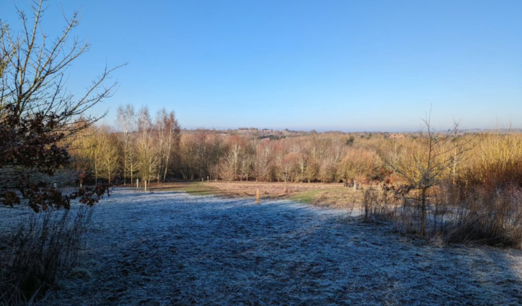 Looking downhill over a frosty tree dedication area in Dorothy's Wood