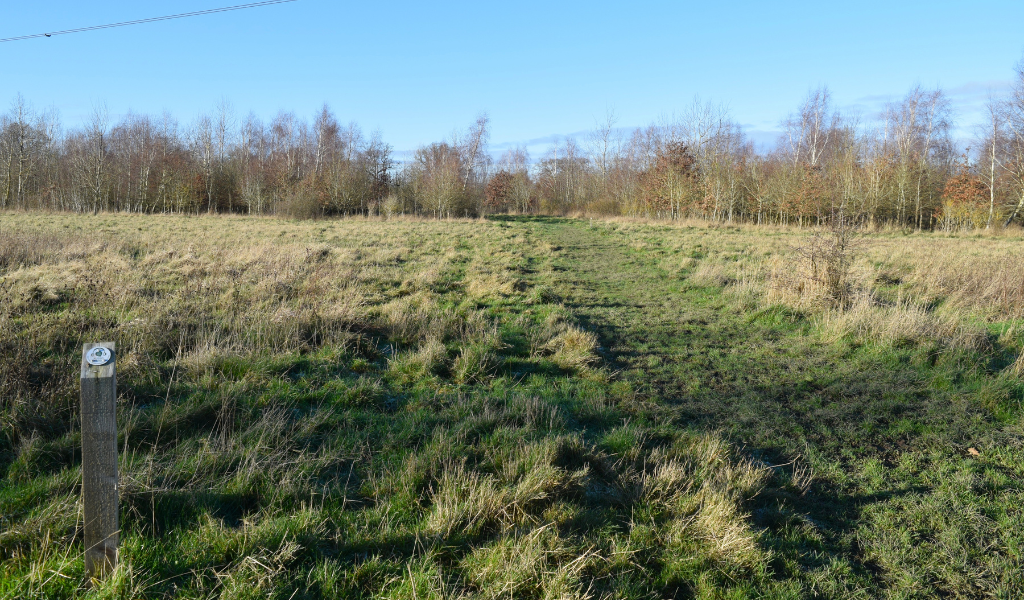 The footpath continuing through an open wildflower meadow