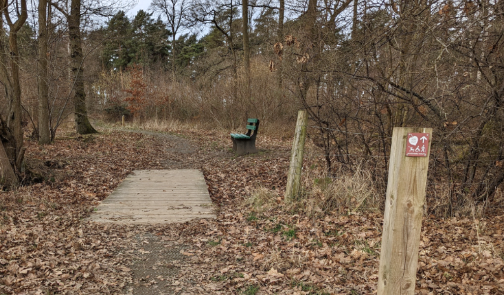 A wooden bridge leading into Morgrove Coppice