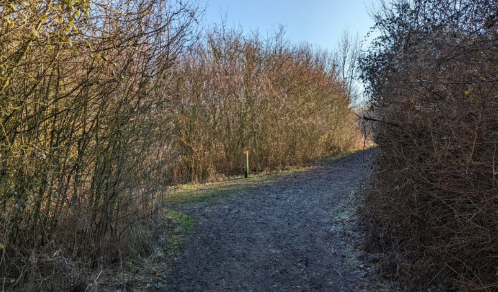 A frosty footpath continuing through Dorothy's Wood