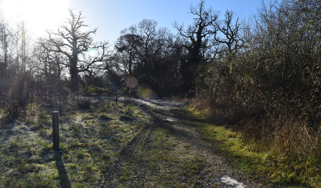 The footpath continuing down towards the River Arrow