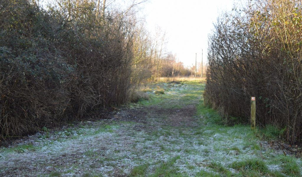 The footpath continuing through a gap in a hedgerow with a waymarker post on the right