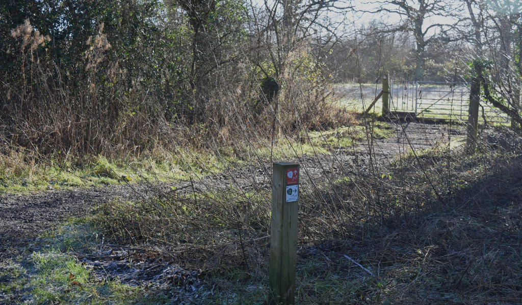 A bridge in the foreground leading to a gate, which leads in to a young tree plantation. The footpath is sandwiched by hedges